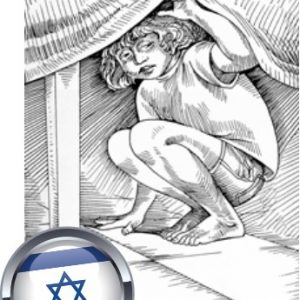 מתדר - מערכת תמונות לדיבוב רגשות